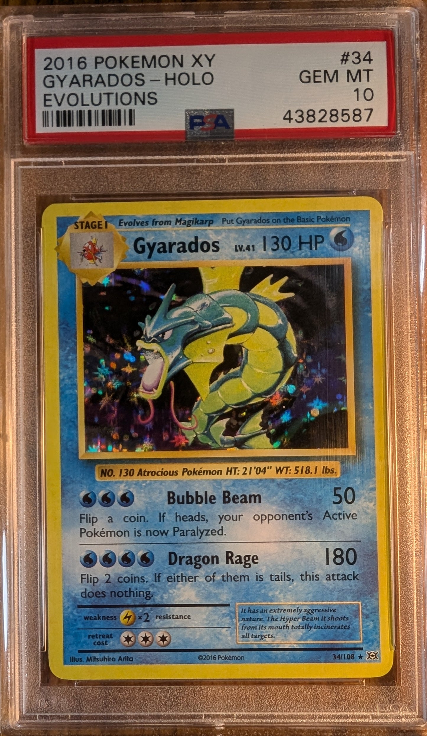 2016 Pokemon XY Evolutions Gyarados #34 (Holo) Gem Mint 10